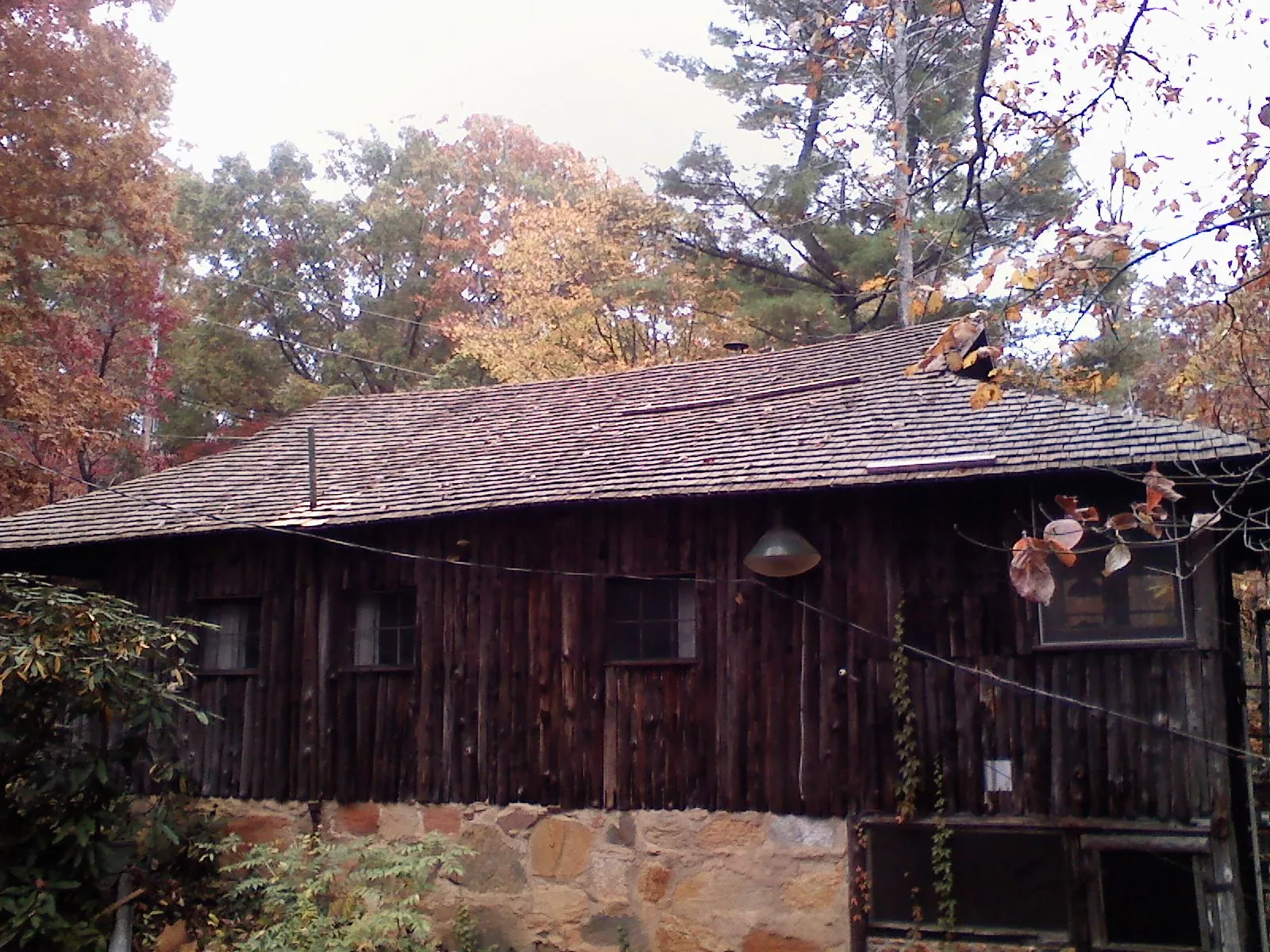 Weathered wood shake roof on a rustic board sided cabin in Vineland